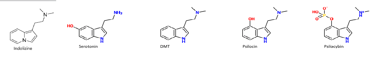 https://tripforum.nl/wp-content/uploads/wpforo/default_attachments/1740654567-indolizine-dmt-serotonine-psilocybine-psilocine.png